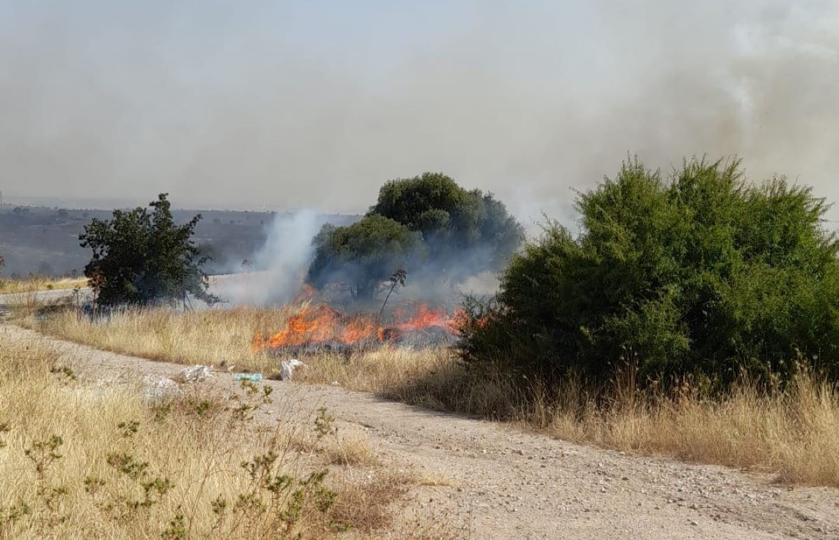Incendio sul Gargano: in fiamme 50 ettari a San Marco in Lamis. All'opera  un canadair e due fireboss