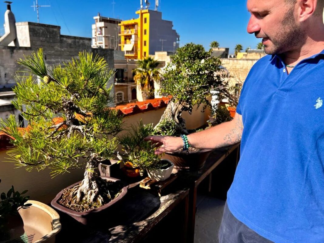 Costretto a chiudere l azienda a Trani Michele si reinventa I